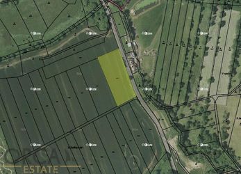 Prodej 0,6 ha zajímavého pozemku v k.ú. Opálka