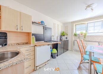 Podnájem bytu 2+1, 90 m2, ul. Mahenova, Brno-Stránice