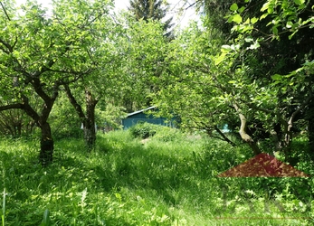 Kašperské Hory - Vimperská; chalupa (dřev. srub; podl. pl.: cca 100 m2) se zahradou