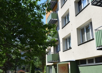 Pronájem, byt 1+1, Nerudova ul., České Budějovice, balkon, sklep