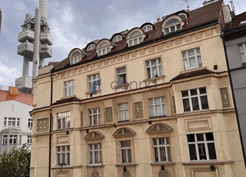 Prodej pěkného bytu 1+kk, 31m², OV, ul. Čajkovského, P3 - Žižkov, po rekonstrukci, sklep.