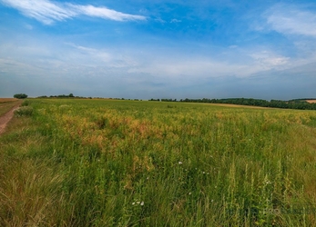 Prodej orné a ostatní plochy o CP 14344m2 v Líšni, prodej orná půda Líšeň