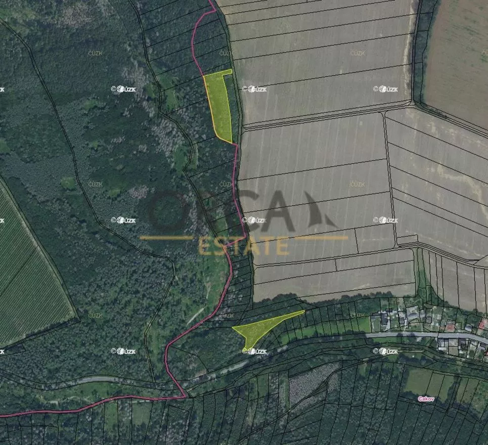 Aukce 0,74 ha lesa v k.ú. Cakov