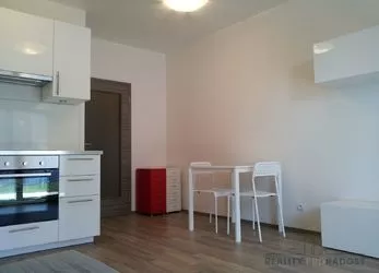 Pronájem bytu 1+kk/T 56 m2 OV Praha 9 - Letňany