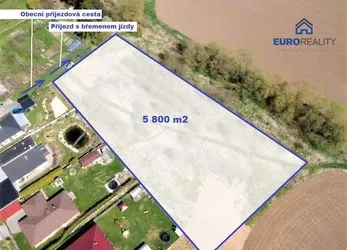 Prodej, stavební pozemek, 5800 m2, Planá u M. Lázní