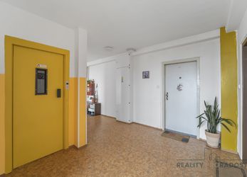 Prodej bytu 2+kk 45 m² Kopřivnická, Praha 9 - Letňany