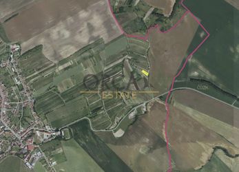 Prodej zemědělských pozemků Čejkovice, 28177 m2
