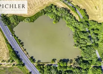 Prodej, chovného rybníka, 32909 m², Hájek