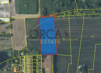Prodej 0,3 ha zastavitelných pozemků v k.ú. Mirotice
