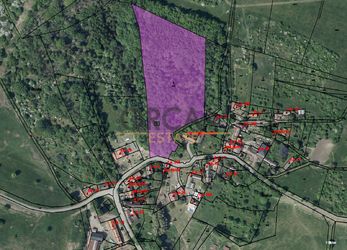 Prodej lesního pozemku v k.ú. Skalice u Lovosico výměře 15940 m2