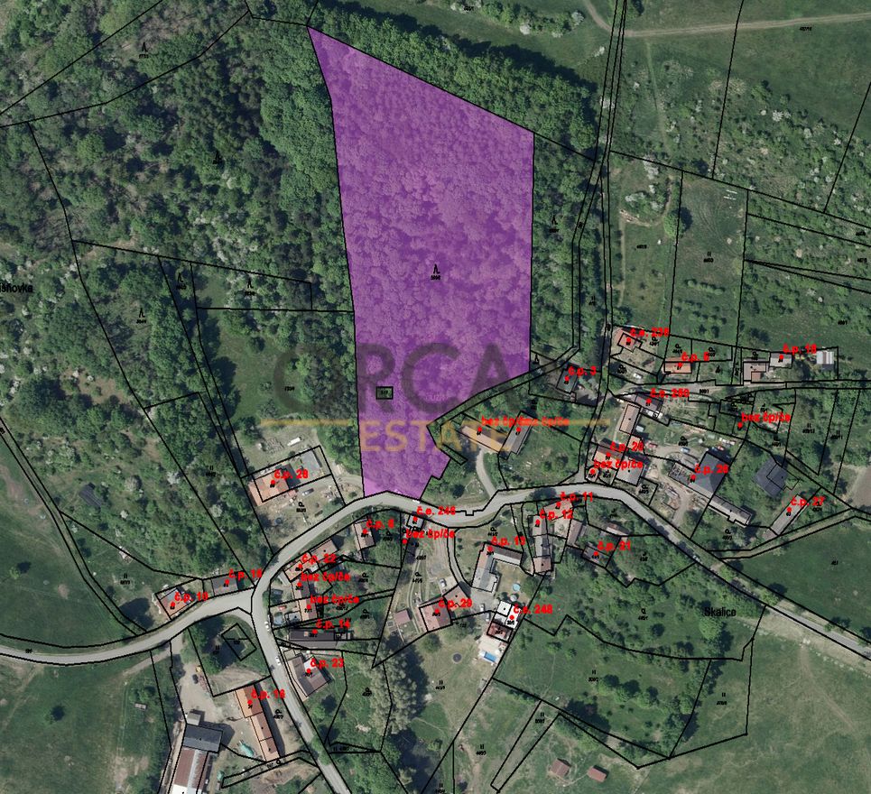 Prodej lesního pozemku v k.ú. Skalice u Lovosico výměře 15940 m2