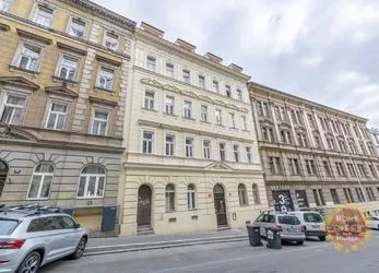 Residenční bydlení, pronájem pokoje 13m2 po rekonstrukci, Řehořova, Žižkov, volné od července 2023