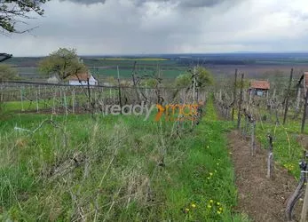 Prodej rekreačního pozemku 1601 m2 s vinařskou chatkou, Strážnice- Mlýnky