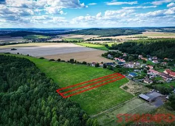 Prodej pozemku s možností výstavby RD o rozloze 4 147 m2, Dolce u Přeštic, Plzeň-jih