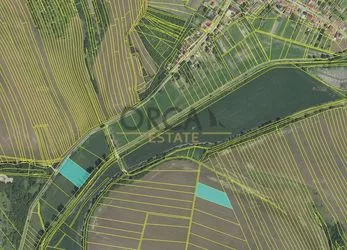 Prodej pozemků v k.ú. Dražůvky o podílové výměře 7045,5 m2