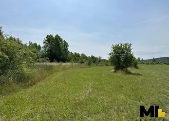 Prodej rozlehlého pozemku v obci Hněvice, Ústecký kraj.
