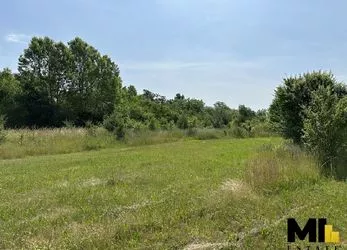 Prodej rozlehlého pozemku v obci Hněvice, Ústecký kraj.