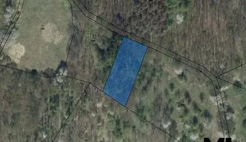 Prodej lesního pozemku o velikosti  1 462m2 v obci Stebno, Podlešín u Stebna.
