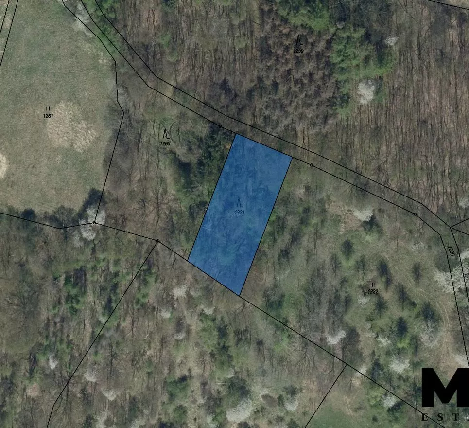 Prodej lesního pozemku o velikosti  1 462m2 v obci Stebno, Podlešín u Stebna.