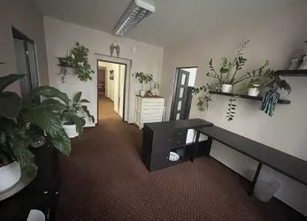 Pronájem kanceláře 150 m2, Plzeň Na Roudné