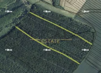 Prodej lesních pozemků Čejkovice, 4763 m2