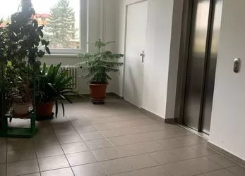 Pronájem bytu 2+1 ul.Luční,Brno-Žabovřesky