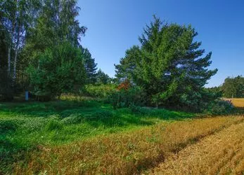 Prodej pozemku Horní Rastory