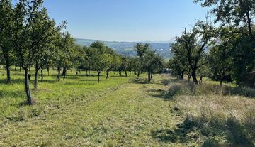 Prodej pozemku, zahrady Uherský Brod - Havřické vinohrady