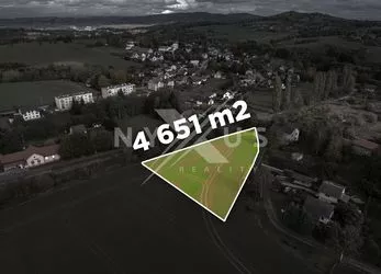 Prodej stavebního pozemku 4 651 m2, Mladějov v Čechách