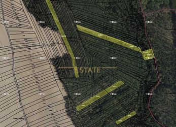 Aukce 1,25 ha lesních pozemků v k.ú. Omice a Popůvky u Brna