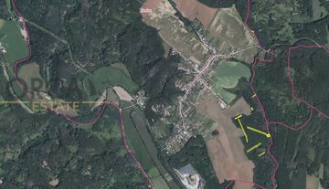 Aukce 1,25 ha lesních pozemků v k.ú. Omice a Popůvky u Brna