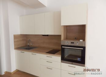 Nový byt 4+kk 140m2 Brno Hybešova