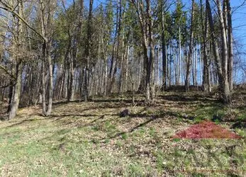Volšovy u Sušice; stavební pozemek 600 m2 pod lesem
