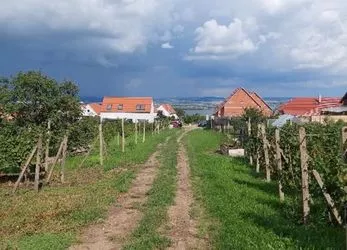 Prodej pozemku určeného k výstavbě ve vinařské obci Pavlov, 1218m2