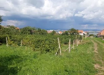 Prodej pozemku určeného k výstavbě ve vinařské obci Pavlov, 1218m2
