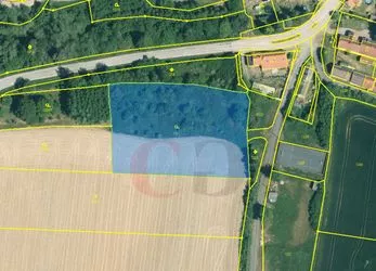 Prodej stavebního pozemku, 4617 m2, Černíkovice
