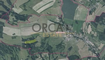 Aukce 1 ha lesních pozemků v k. ú. Velká Bukovina