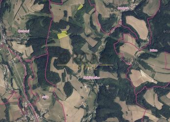 Aukce 2 ha pozemků s trvalým travním porostem v k.ú. Dolní Smržov