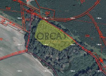 Aukce 0,4 ha lesních pozemků v k.ú. Domašice