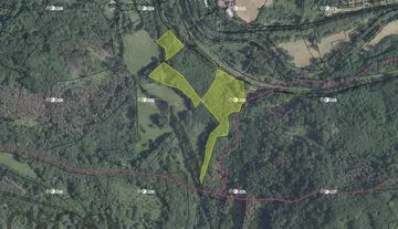 Aukce 2,23 ha lesních pozemků v k.ú. Malá Veleň