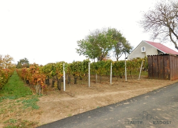 Prodej vinice 783 m² Prušánky , okres Hodonín